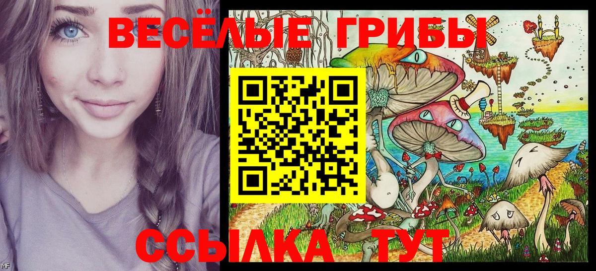 Галлюциногенные грибы GOLDEN TEACHER  Вход с VPN  Кондопога  Псилоцибиновые грибы Psilocybine cubensis 