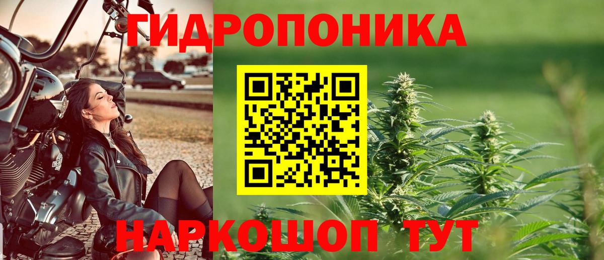 Канабис план Кондопога